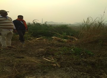 Darbhanga project — site development
