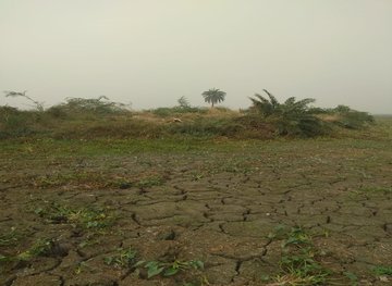 Darbhanga project — site development